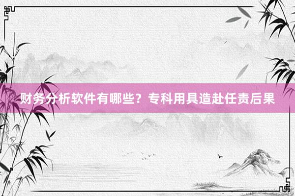 财务分析软件有哪些？专科用具造赴任责后果