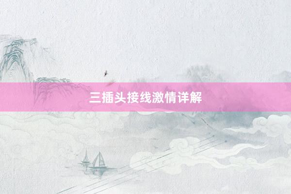 三插头接线激情详解