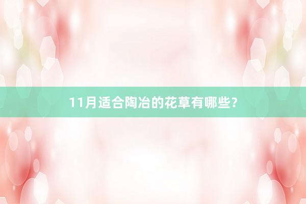 11月适合陶冶的花草有哪些？