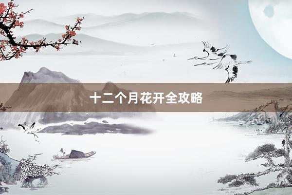 十二个月花开全攻略